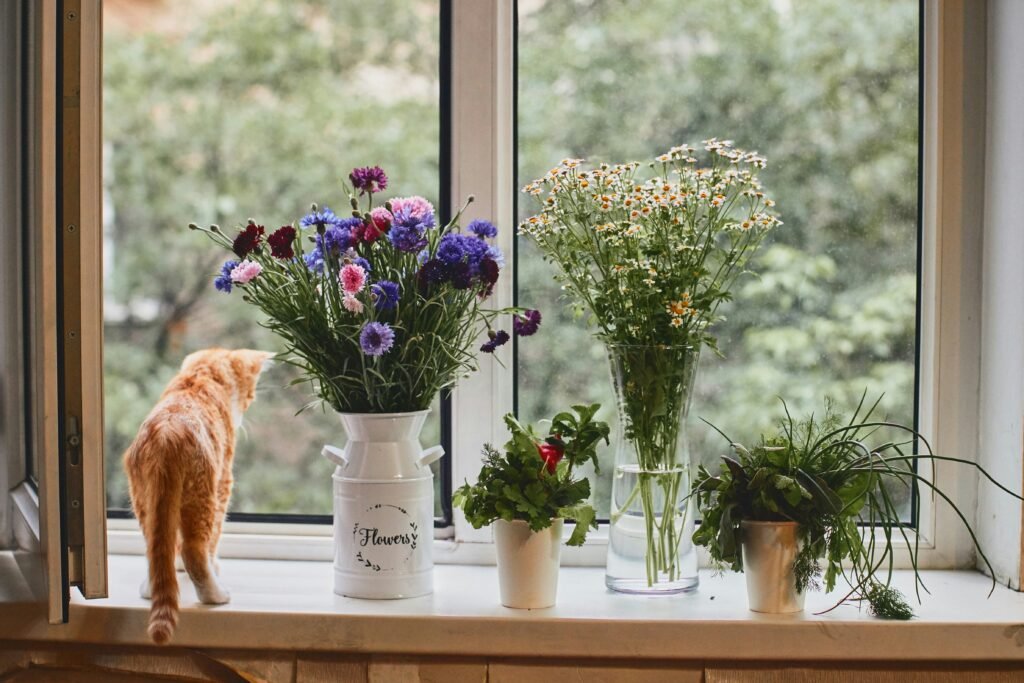 Plants toxic to cats, plants poisonous to cats, cats and plants