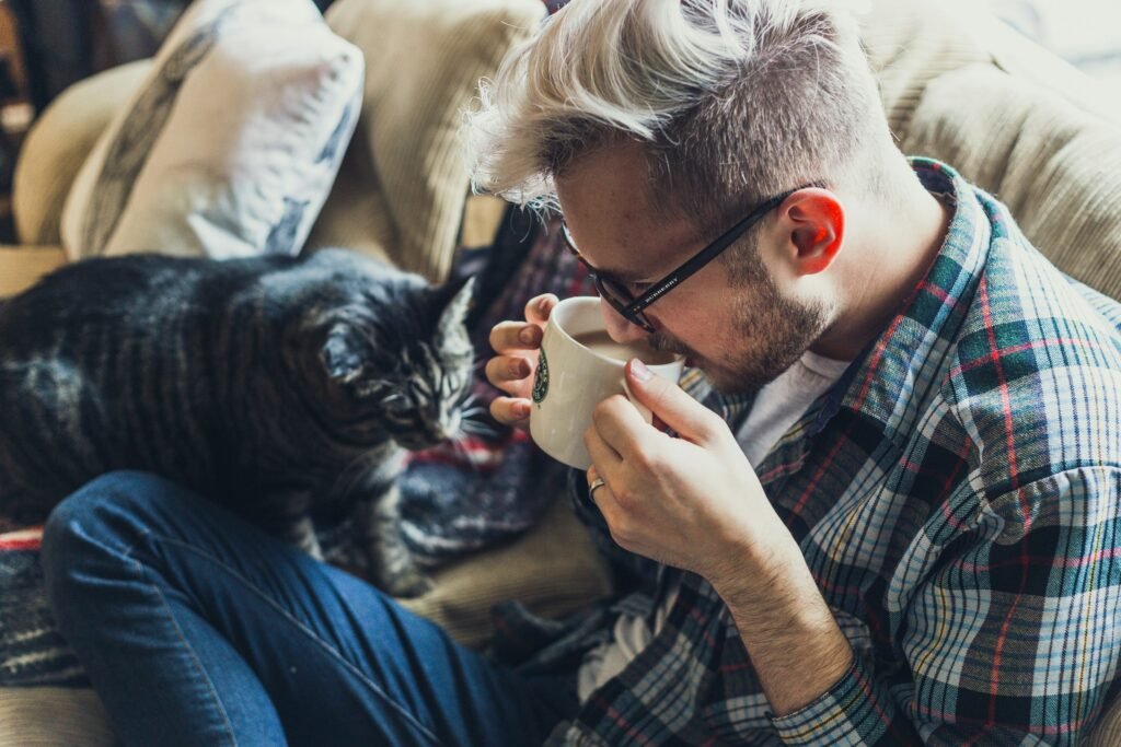 Indoor Vs Outdoor Cats 