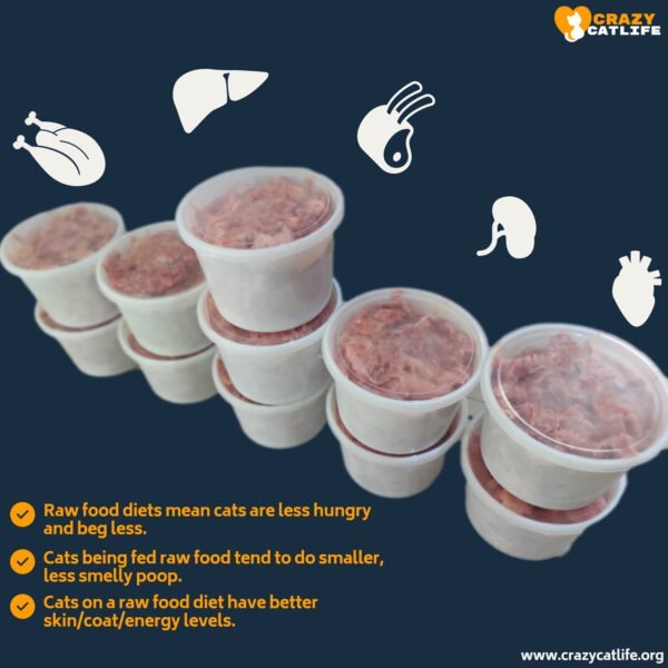 home made raw cat food in Bangalore