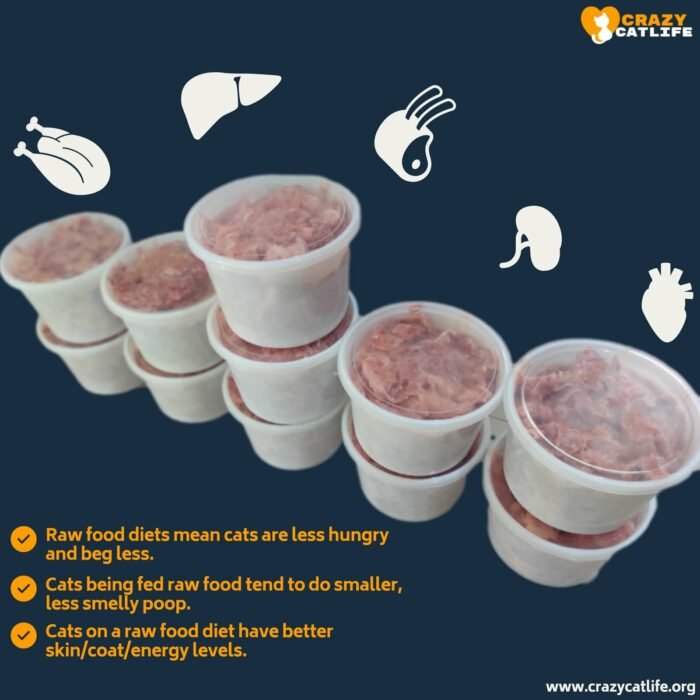 home made raw cat food Bangalore home made raw cat food in Bangalore