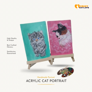 Acrylic Cat Portrait – Handmade Portrait Of Cat